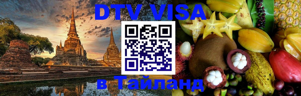 Сколько стоит DTV виза — актуальные цены, оформление даже без документов - Махачкала 